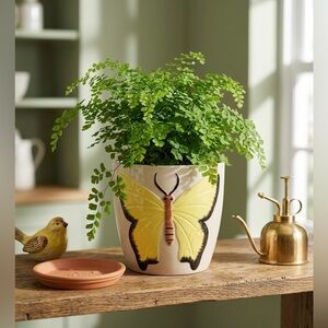Yellow Butterfly Ceramic Planter - 6" Large Beige Indoor Pot